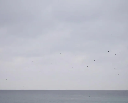 Schlips + Schleier sind Deine Hochzeitsplaner aus Lübeck!